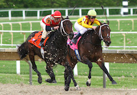 hire the right person—it's like a horse race