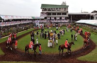 hiring the right person is like a horse race