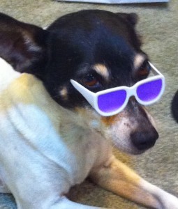 Freckles wearing shades